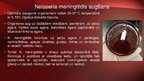 Презентация 'Neisseria meningitidis - meningokoki', 5.