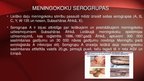 Презентация 'Neisseria meningitidis - meningokoki', 10.