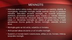 Презентация 'Neisseria meningitidis - meningokoki', 17.