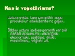 Презентация 'Veģetārisms', 2.
