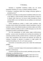 Реферат 'Latvijas Kriminālprocesa kodeksa pierādīšana', 21.