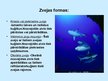 Презентация 'Pasaules zivsaimniecība', 3.