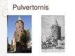 Презентация 'Pulvertornis', 1.
