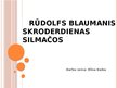 Презентация 'Luga "Skroderdienas Silmačos"', 1.