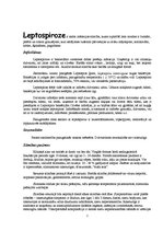 Конспект 'Leptospiroze', 2.