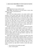 Дипломная 'Janas Egles personības un stāstu krājuma „Svešie jeb Miļeņkij ti moi” apguve lit', 30.