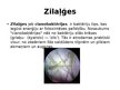 Презентация 'Zilaļģes - Microcystis', 2.