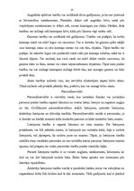 Реферат 'Lietu iedalījums', 10.