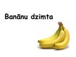 Презентация 'Banānu dzimta', 1.