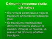Презентация 'Dzimumhromosomu skaita novirze', 5.