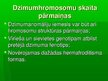 Презентация 'Dzimumhromosomu skaita novirze', 18.