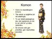 Презентация 'Kimono', 18.