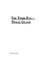 Реферат 'The Third Eye - Pineal Gland', 1.