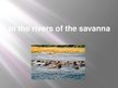 Презентация 'In the Rivers of the Savanna', 1.