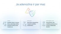 Презентация 'Adenozīns kā smadzeņu enerģijas un miera regulators', 8.