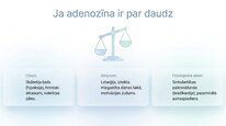 Презентация 'Adenozīns kā smadzeņu enerģijas un miera regulators', 9.