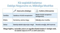 Презентация 'Adenozīns kā smadzeņu enerģijas un miera regulators', 10.