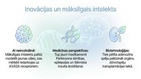 Презентация 'Adenozīns kā smadzeņu enerģijas un miera regulators', 11.