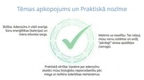 Презентация 'Adenozīns kā smadzeņu enerģijas un miera regulators', 12.