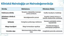 Презентация 'Adenozīns kā smadzeņu enerģijas un miera regulators', 15.