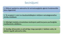 Презентация 'Adenozīns kā smadzeņu enerģijas un miera regulators', 24.