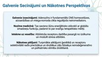 Презентация 'Adenozīns kā smadzeņu enerģijas un miera regulators', 25.