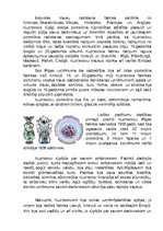 Конспект 'Kuzņecova porcelāna un fajansa fabrika', 2.