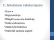 Реферат 'Clostridium botulinum baktērija, botulisms', 22.