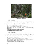 Реферат 'Dabas katastrofa - ekstrēmas vētras, kas skar Kurzemi un Vidzemi.', 7.