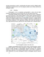 Реферат 'Dabas katastrofa - ekstrēmas vētras, kas skar Kurzemi un Vidzemi.', 13.