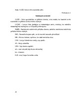 Реферат 'Dabas katastrofa - ekstrēmas vētras, kas skar Kurzemi un Vidzemi.', 24.