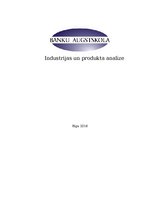 Образец документа 'Industrijas un produkta analīze', 1.