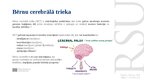 Презентация 'Elektrostimulācijas terapija bērniem ar cerebrālo trieku', 3.