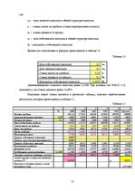 Реферат 'Экспертиза проекта развития трансортного предприятия', 13.
