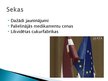 Презентация 'Eiropas Savienība', 12.