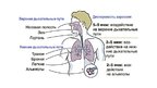 Презентация 'Pacienta apmācīšana Aerosolveida inhalatora lietošanai', 7.