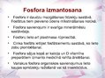 Презентация 'Fosfors', 15.
