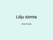 Презентация 'Liliju dzimta', 1.