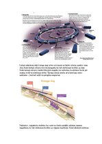 Образец документа 'Eksāmena atbildes Spektroskopijas metodes medicīnā', 28.