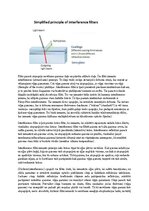 Образец документа 'Eksāmena atbildes Spektroskopijas metodes medicīnā', 42.