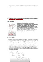 Образец документа 'Eksāmena atbildes Spektroskopijas metodes medicīnā', 64.