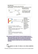 Образец документа 'Eksāmena atbildes Spektroskopijas metodes medicīnā', 91.
