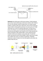 Образец документа 'Spektroskopijas metodes medicīnā', 14.
