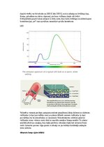 Образец документа 'Spektroskopijas metodes medicīnā', 20.