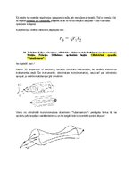 Образец документа 'Spektroskopijas metodes medicīnā', 44.
