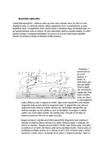 Образец документа 'Spektroskopijas metodes medicīnā', 63.