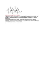 Образец документа 'Spektroskopijas metodes medicīnā', 72.