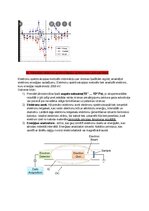 Образец документа 'Spektroskopijas metodes medicīnā', 77.