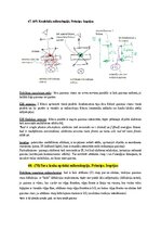 Образец документа 'Spektroskopijas metodes medicīnā', 106.