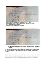 Образец документа 'Spektroskopijas metodes medicīnā', 118.